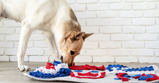 Calming Your Pet Through Scent-Based Enrichment: The Power of Snuffle Mats - Equilibrium Pet