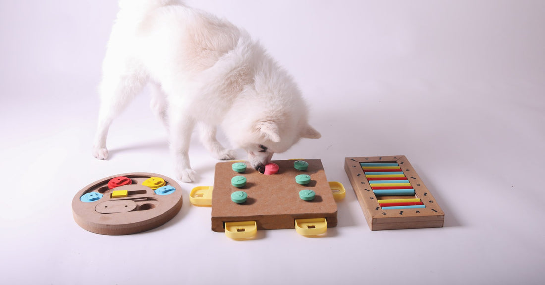 Unlocking Calm with Puzzle Feeders: Why They’re Essential for Anxious Pets - Equilibrium Pet