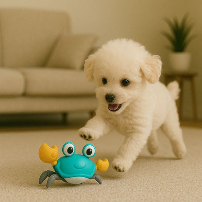 Interactive Crawling Crab Dog Toy