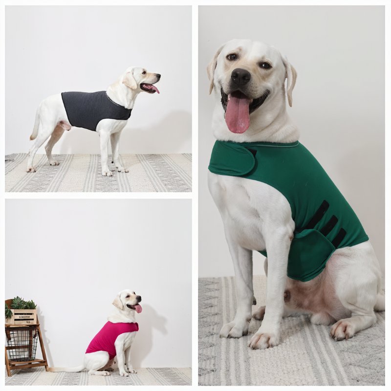 Adjustable Anxiety Jacket for Dogs - Equilibrium Pet