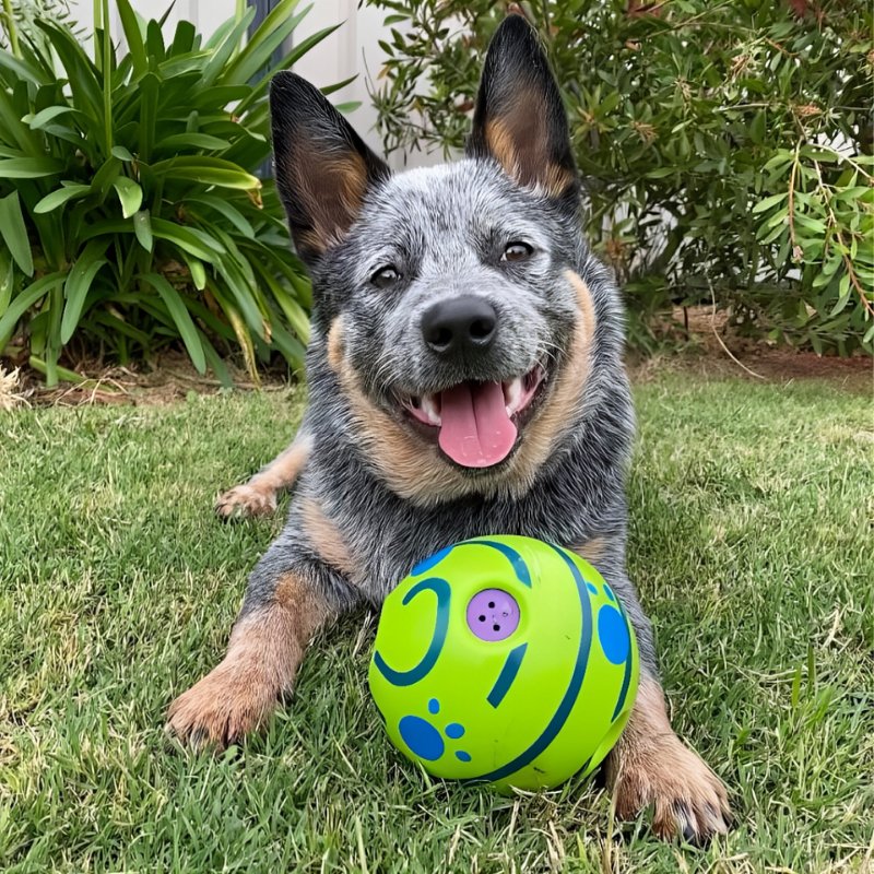 Durable Wobble Wag Giggle Ball - Equilibrium Pet