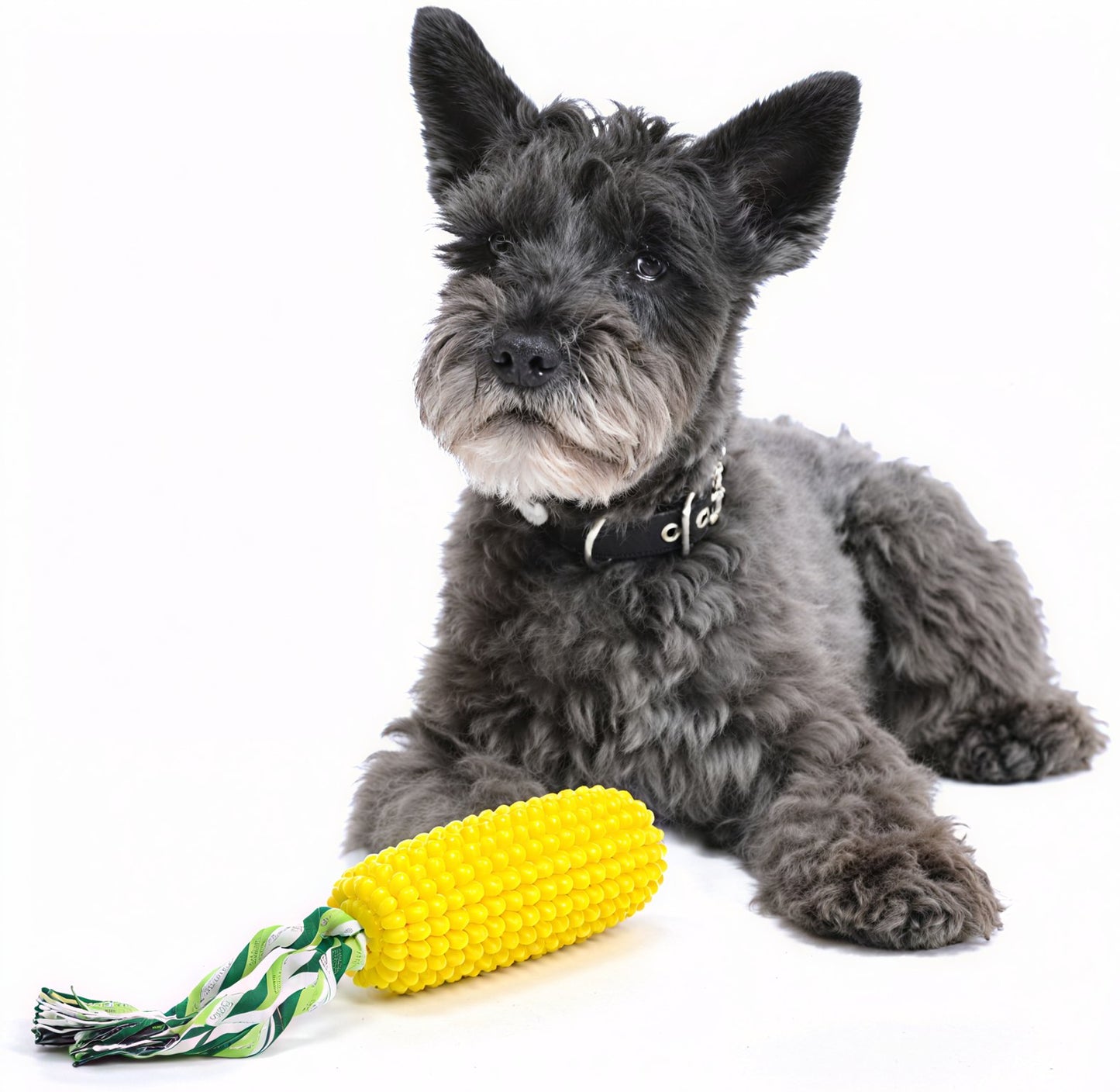 Indestructible Corn Chew Toy - Equilibrium Pet