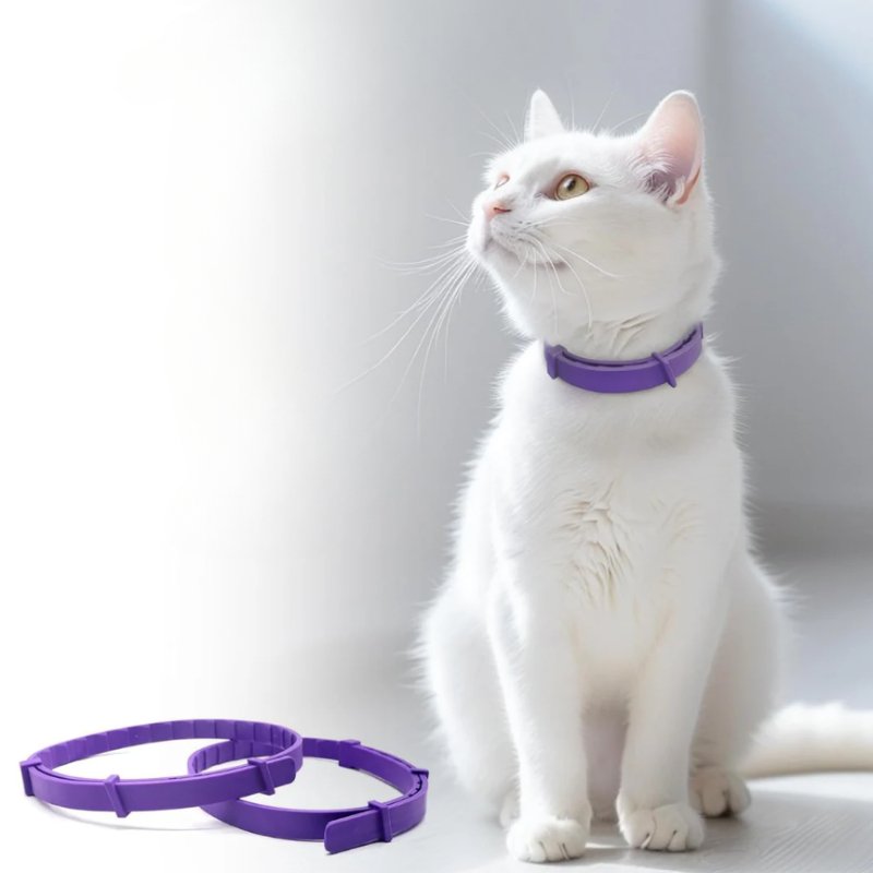 Instant Calming Pet Collar for Anxiety Relief - Equilibrium Pet