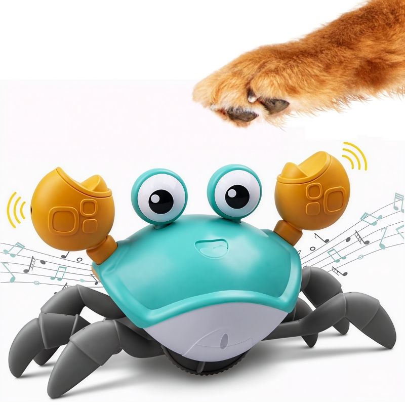 Interactive Crawling Crab Dog Toy - Equilibrium Pet