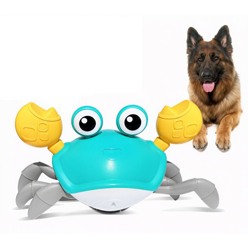 Interactive Crawling Crab Dog Toy - Equilibrium Pet