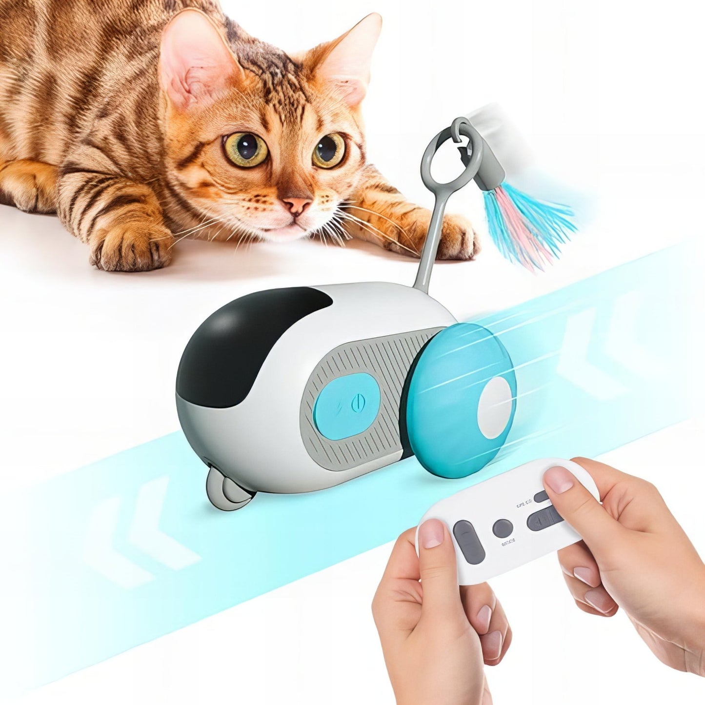 Interactive Electric Car Cat Toy - Equilibrium Pet