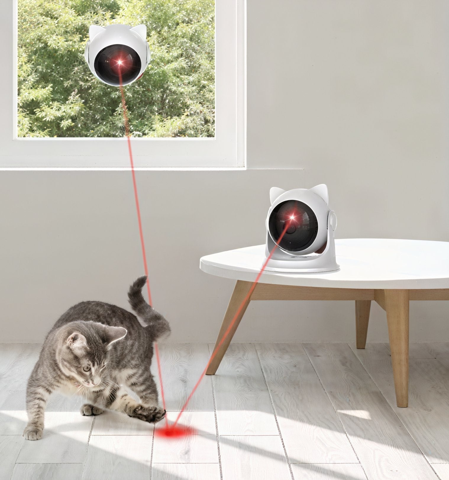 Rechargeable Cat Laser Adjustable Modes - Equilibrium Pet